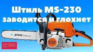 Штиль 230 заводится и глохнет при нажатии на газ#ВикторПолев