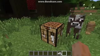Minecraft Porady #1 Jak wydoić krowę
