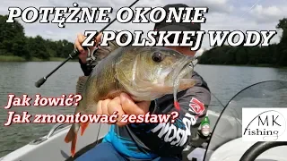 POTĘŻNE OKONIE Z POLSKIEJ WODY | Jak łowić okonie | Jak zmontować zestaw na okonia | spinning