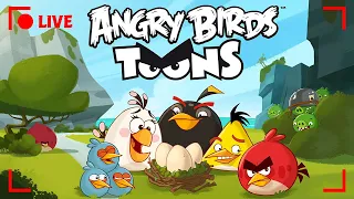 🔴 LIVE Angry Birds Party | Toons Season 1 All Episodes