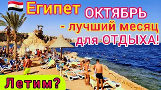 Летим в Египет в ОКТЯБРЕ 🇪🇬 ЛУЧШЕЕ время для ОТДЫХА в Египте❗️ Шикарное Красное море. Египет ОСЕНЬЮ