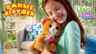 Игривый Котёнок "Дэйзи" FurReal Friends Daisy на 15Toys.RU