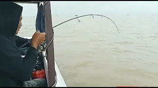 MANCING DASAR || Spot terbaik ikan Lamuru dan ikan Bambangan || Auto Joran melengkung