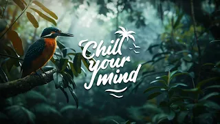 Chill Music Mix 2024 - Deep House & Tropical House - Calm & Relaxing Background Music