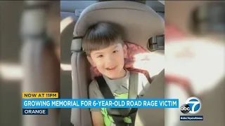 Mother of boy, 6, killed in OC road rage shooting speaks out: 'It should never happen again' | ABC7