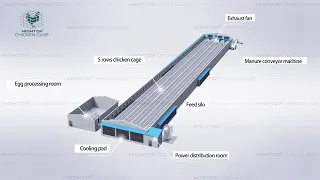 Fully Automatic Poultry Farm Equipment, Automated Poultry Battery Cage System