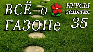 Всё о газоне в одном видео. Курсы. Урок 35.