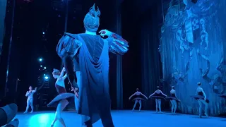 “Swan lake” Zakharova/Rodkin/Kryuchkov