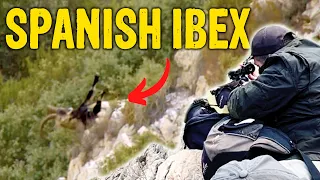 Cheating Death while IBEX hunting in SPAIN