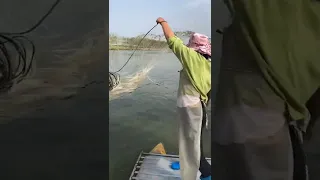 Amazing Asian Cast Net Fishing to Catching a big fish in the river 40