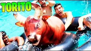 UN TORO EN LA PISCINA !! SI TE CAES PIERDES (JUEGOS DE PISCINA) Makiman131