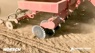 Horsch Pronto NT follow up Buntine, WA