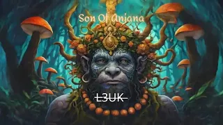 L3UK - Son Of Anjana [Spiritual Hitech Psytrance]