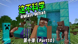 我的世界：盘点不科学的Minecraft第十弹，末影爬行者你见过吗？