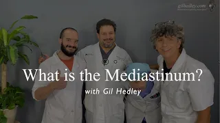 What is the Mediastinum? Learn Integral Anatomy with Gil Hedley