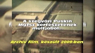 A szegvári Puskin MgTSz kertészetének múltjából… Archív film, készült 2009-ben