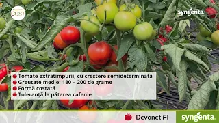 Prezentare tomate extratimpurii - Devonet F1