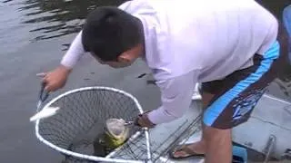 Joe Kopp -  Fishing  the Amazon River out of Manaus Brazil. The river Branco