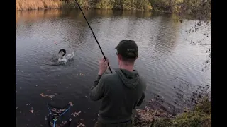 Hechtangeln mit Köderfisch ( Wahnsinn was da abging)