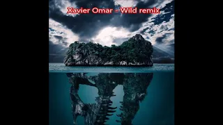 Xavier Omar - Wild Remix (432Hz)