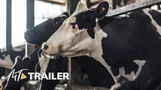 COW (2022) Official Trailer — Academy Award ® (HD)