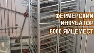 Инкубатор Стимул-8000 от компании Стимул-Инк. Выставка Золотая Осень 2017