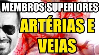 Vídeo Aula 128 - Sistema Circulatório: Artérias e Veias dos Membros Superiores (MMSS)