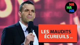 Olivier Martineau - Les Écureuils 🐿