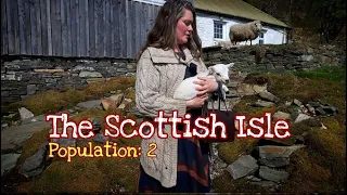 70: The Scottish Isle | We welcome a wee lamb to the island: Off-grid Hebrides, Highlands, Scotland.