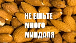 МИНДАЛЬ ПОЧЕМУ НЕЛЬЗЯ МНОГО ЕСТЬ ЭТОГО ОРЕХА