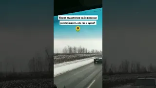 🔥 Подсолнухи могут убирать зимой? 🌻❄️ 😯