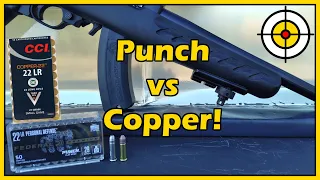 Is Copper The Punch Stopper?! .22lr Federal Punch vs CCI Copper 22 Ballistic Gel Test!