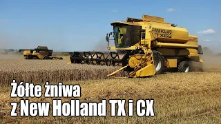 Żółte żniwa z New Holland TX 66 i CX 8080