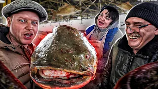 GIANT CATFISH 67 KG/ ODESSA PRIVOZ/ FISH PARADISE/ PRICES REVIEW OF KNIVES