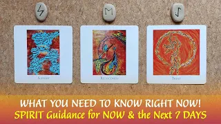 🦉⌛🦉SPIRIT WANTS YOU TO HEAR THIS MESSAGE RIGHT NOW - The Timing is Right to Hear This!🦉⌛🦉Pick A Card