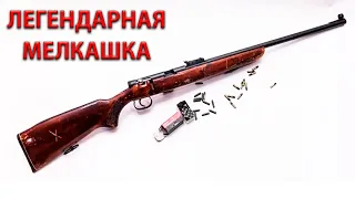 Легендарная мелкашка ТОЗ 8