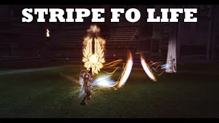 STRIPE FO LIFE - WhiteStripe | Lineage 2 Duelist Olympiad games Scryde x50
