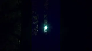 Mysterious lights in the Alaskan woods visual effect from "Max and the Mystery Woods Lights! ”