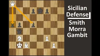 Chess Play and Learn Sicilian Defense Smith Morra Gambit and the End Game learnings with Explanation