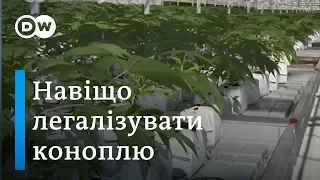 Медичний канабіс. Чи треба легалізувати марихуану в Україні | DW Ukrainian