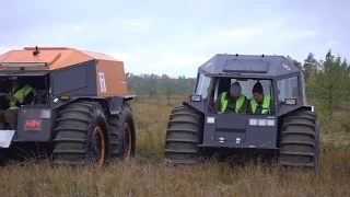 Вездеход трофи 2019  кусочек завалялся)