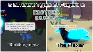 5 Different Types Of Players In Feather Family￼