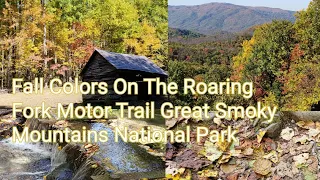 Fall On The Roaring Fork Motor Nature Trail Great Smoky Mountains National Park