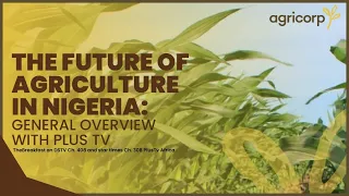 The Future of Agriculture in Nigeria | General overview with PlusTV Africa