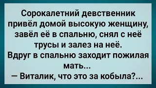 Сорокалетний Девственник Привел в Дом Дылду! Сборник Свежих Анекдотов! Юмор!