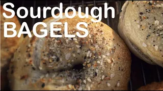 How to make Sourdough Bagels