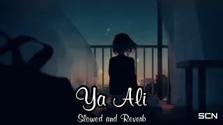 Ya Ali ( Slowed and Reverb ) | Gangster | SCN Lofi Songs