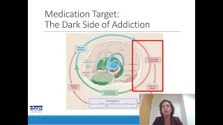 Treatment of Co-Occurring Methamphetamine and Opioid Use Disorders