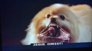 Blade Trinity - You Made a goddamn Vampire Pomeranian?