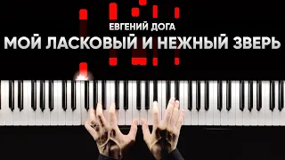 ЕВГЕНИЙ ДОГА - МОЙ ЛАСКОВЫЙ И НЕЖНЫЙ ЗВЕРЬ - На Пианино